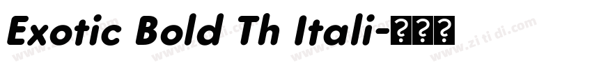 Exotic Bold Th Itali字体转换
